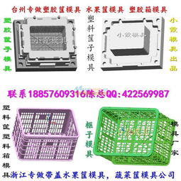 臺州塑料模具 甜瓜籃模具哪里做的好