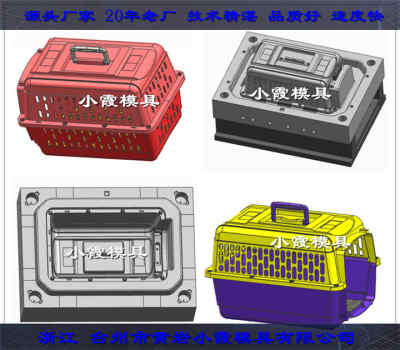 塑料模具生產(chǎn)空運(yùn)攜帶托運(yùn)寵物籠注塑模具